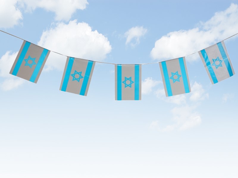 שרשרת דגלי ישראל מרובע 5 מטר 30X40 ס"מ