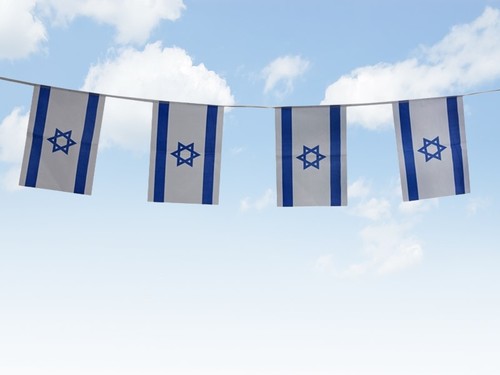 שרשרת דגלי ישראל מרובעים מבד באורך 25 מטר, 20X28 ס