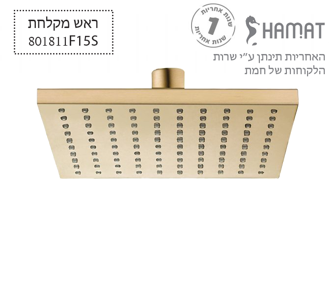 ראש מקלחת פליז מרובע | 250*250 מ"מ | זהב מוברש | 801811 F15S | חמת HAMAT