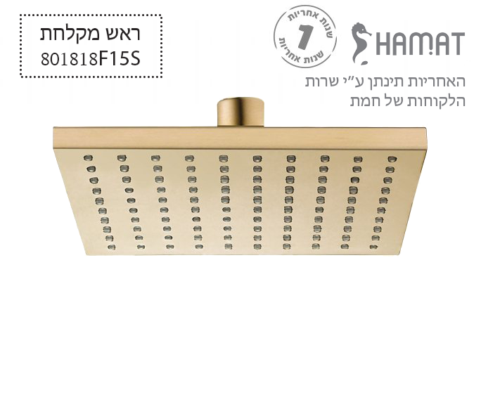 ראש מקלחת פליז מרובע | 200*200 מ"מ | זהב מוברש | 801818 F15S | חמת HAMAT