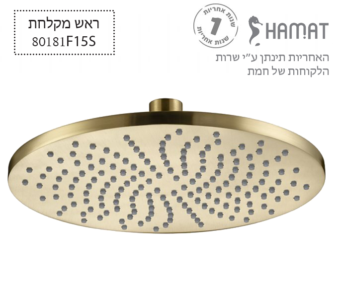 ראש מקלחת פליז עגול | Ø250 מ"מ | זהב מוברש | 801815 F15S | חמת HAMAT