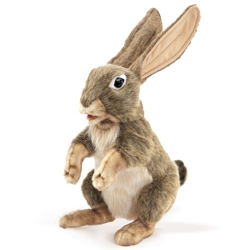 ארנב השדה JECK RABBIT 3200