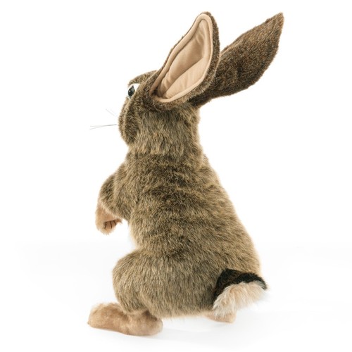 ארנב השדה JECK RABBIT 3200