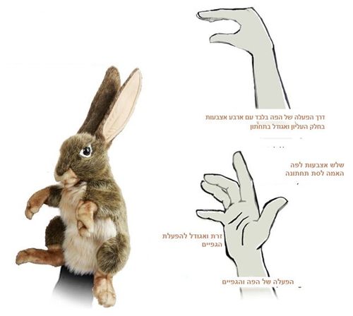 ארנב השדה JECK RABBIT 3200