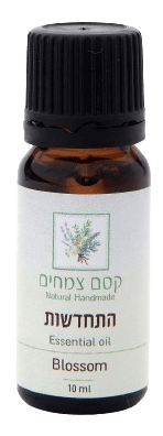 התחדשות בלנד שמנים אתריים 10 מ