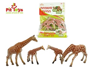 משפחת הגירפות