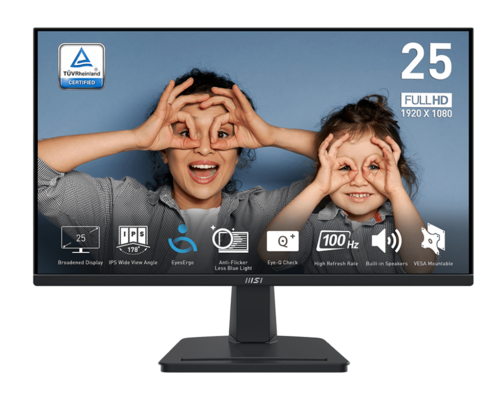 מסך מחשב עסקי 25