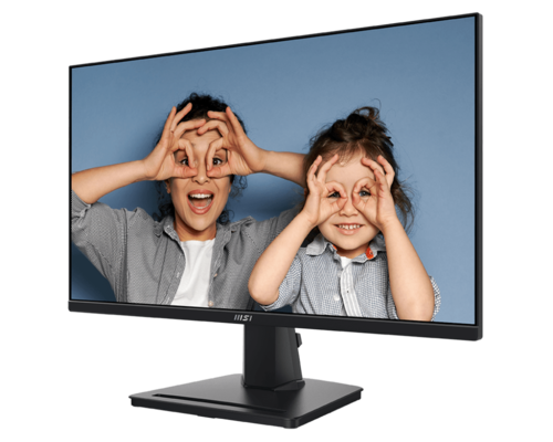 מסך מחשב עסקי 25