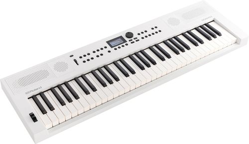 זוית נוספת Roland Go Keys 5