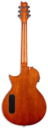 זוית נוספת ESP LTD TL-6 CHARCOAL BURST