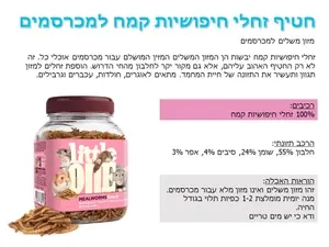 ליטל וואן 32390 - חטיף זחלי חיפושיות קמח, 70 גרם Mealberry 
