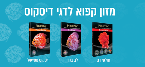 מזון קפוא לדגים דגי דיסקוס