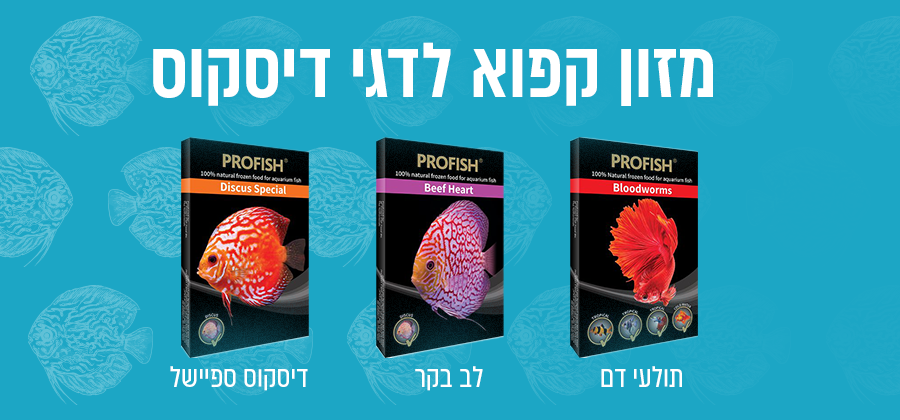 מזון לדגי דיסקוס