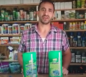 איך להיפטר מאצת מים ירוקים?