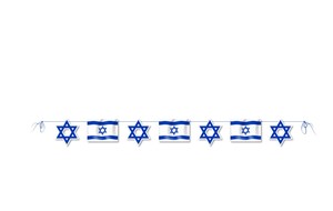 שרשרת מגן דוד ודגלי ישראל