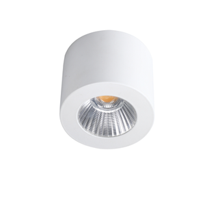 צמוד תקרה מיני 8W ריקי 2 21040 אפסילון