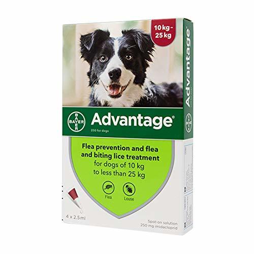 Advantage טיפות - טיפול בפרעושים וקרציות לכלבים