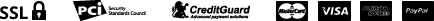 אמצעי תשלום