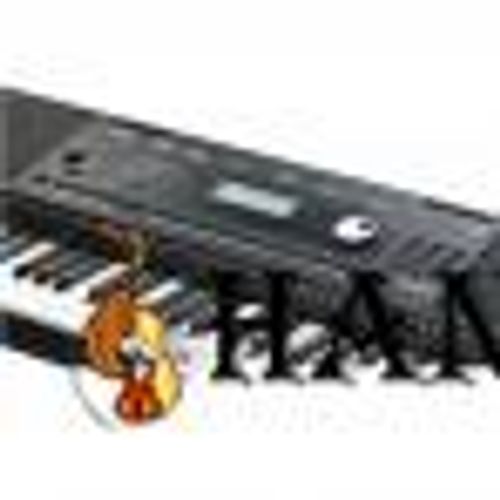 אורגן KURZWEIL KP100
