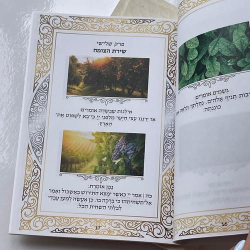 פרק שירה