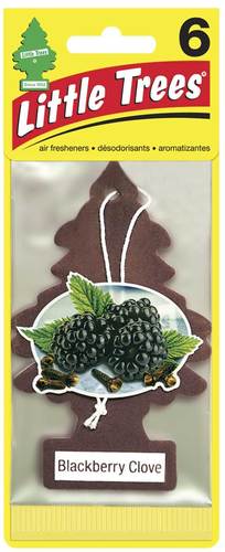 Blackberry Clove, 6-PACK