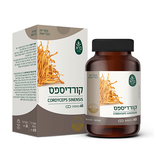 קורדיספס 60 כמוסות ברא | Cordyceps sinensis