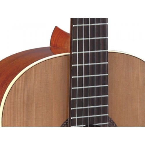 גיטרה קלאסית N460 WALDEN GUITAR SATIN MAT SPRUCE