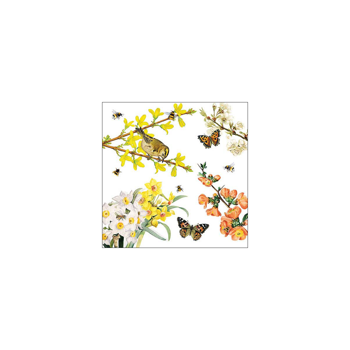 מפית - Spring awakening