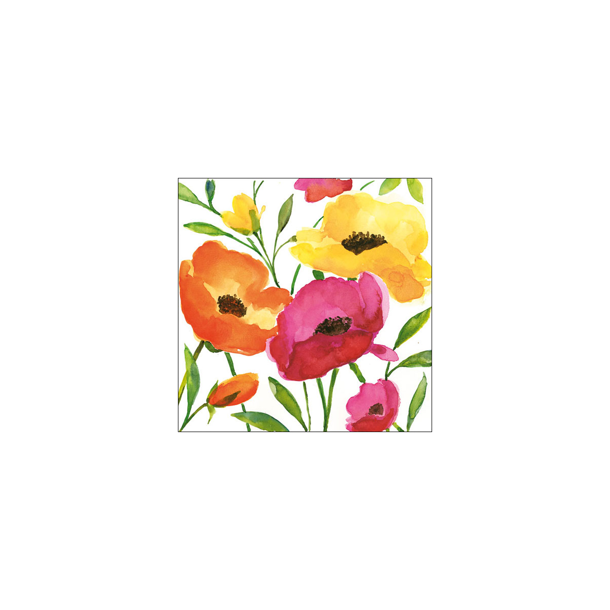 מפית - Aquarell poppy