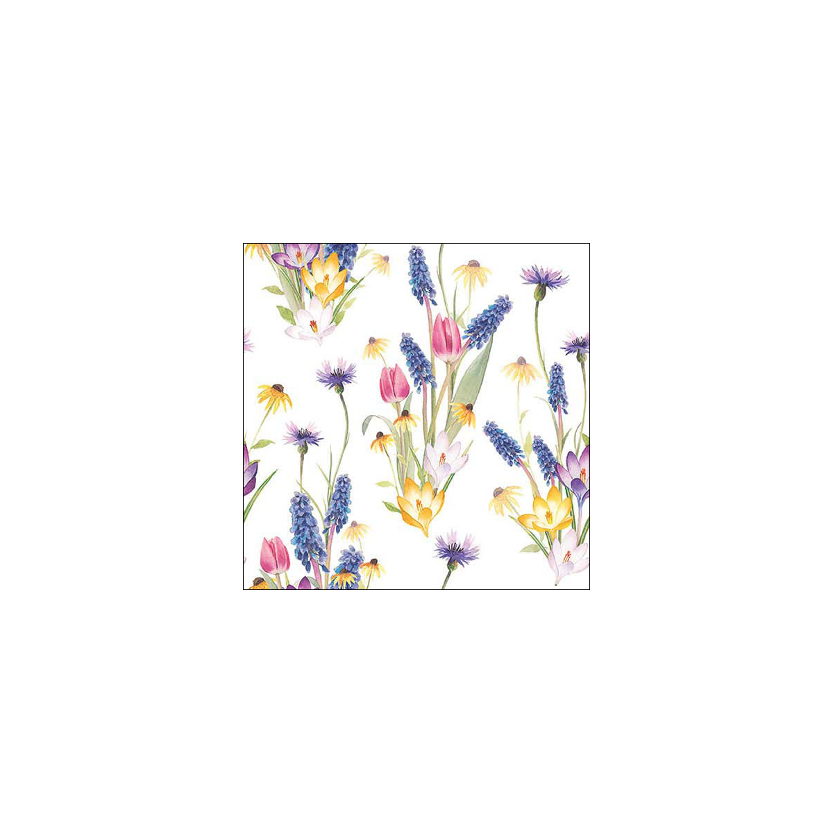 מפית - Hello spring