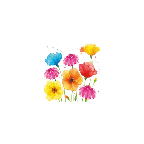 מפית - Colourful summer flowers