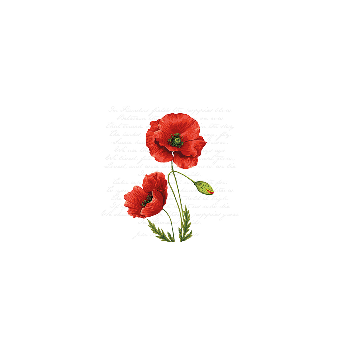 מפית - Proud poppy