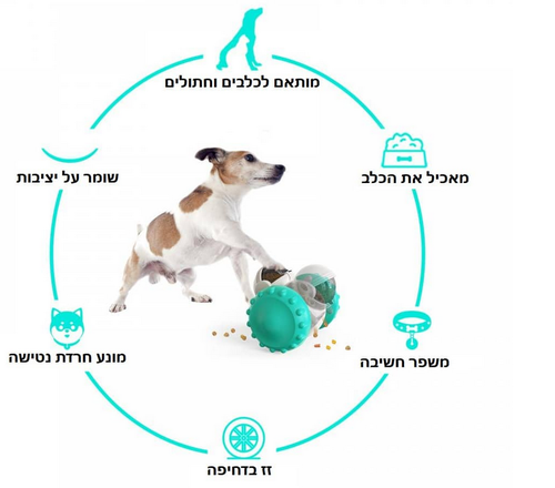 רובוט צעצוע האכלה לכלבים