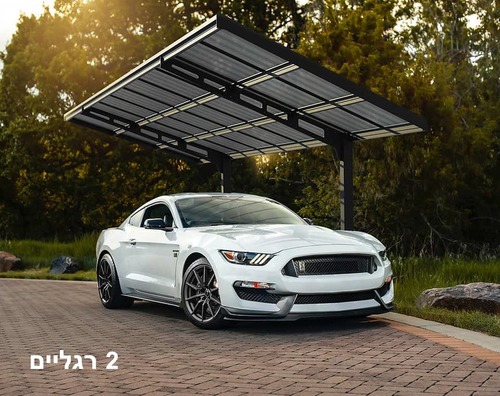 חניה מקורה לרכב SYDNEY במגוון מידות - 2 רגליים