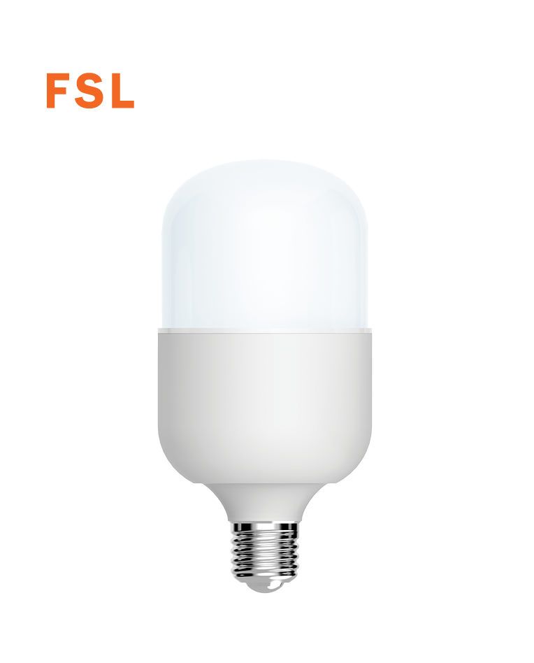 נורת לד בהספק גבוה FS-TS10032W