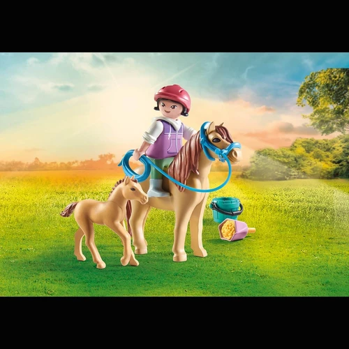 משחק פליימוביל ילד עם פוני ותינוק לגילאי 4+