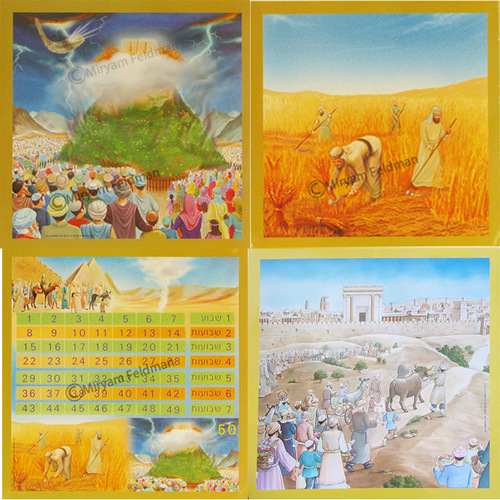 ערכת קישוט תמונות שמות חג השבועות/מ.פ.