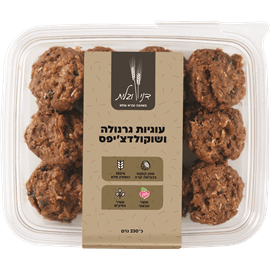 עוגיות גרנולה שוקוצ