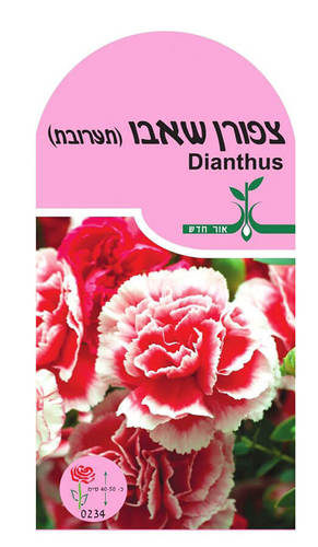 זרעי פרחים – ציפורן שאבו