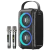‏בידורית + 2 מיקרופונים אלחוטיים W-KING T9II