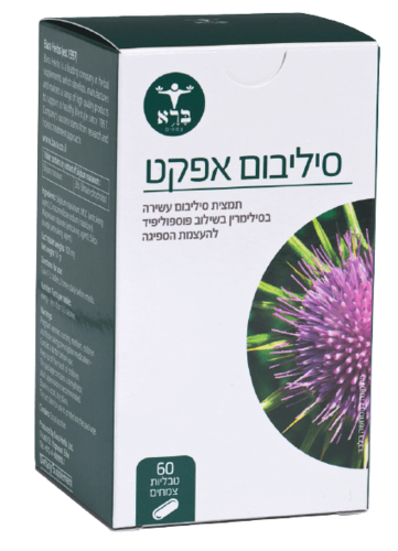 סיליבום אפקט | כשרות בד