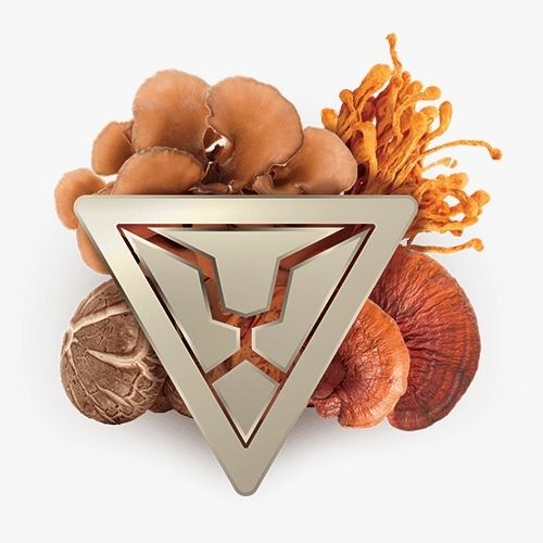 כמוסות פורמולת שילד SHEILD FORMULA | להגברת ההגנה והעמידות הטבעית | מכיל 60 כמוסות | ברא צמחים | BARA
