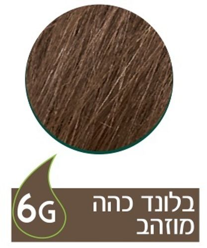 נטורטינט | צבע שיער קבוע | 6G בלונד כהה מוזהב | 165 מ