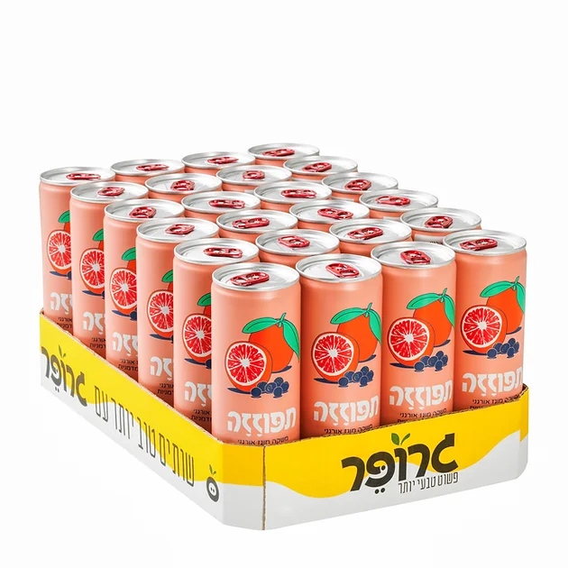 מבצע ארגז (24 יח