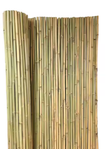 סכך מושחל פרימיום עובי 14-16 מידה 1.5X5 מ' מבית חותמת במבוק