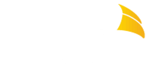 כרטיס מיקרו 150Mbps Wireless N Nano USB TL-WN725N מבית TP-LINK