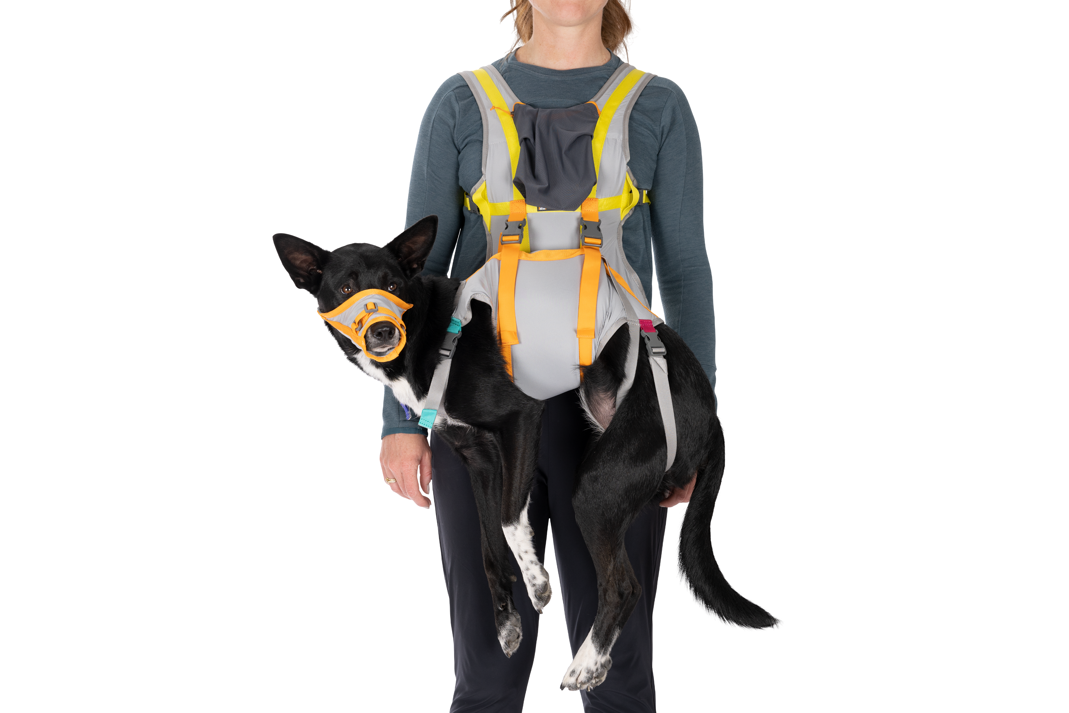 BackTrak™ Dog Evacuation Kit