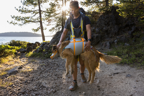 BackTrak™ Dog Evacuation Kit