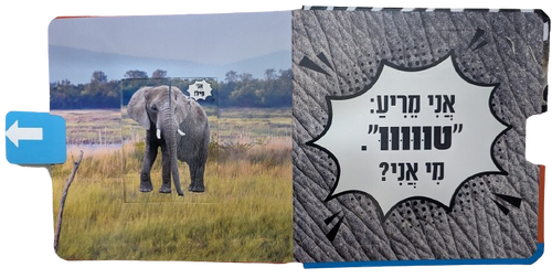 קולות של חיות הבר: ספר חלוניות להיכרות עם חיות הבר