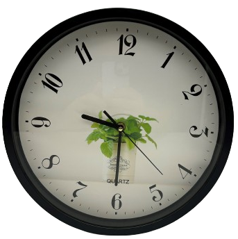 שעון קיר אנלוגי מעוצב 12 אינץ דגם "נענע".
